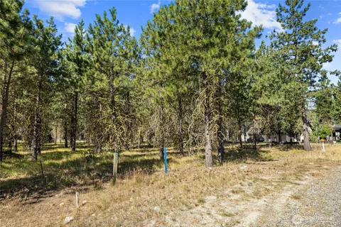 a view of a yard with a trees