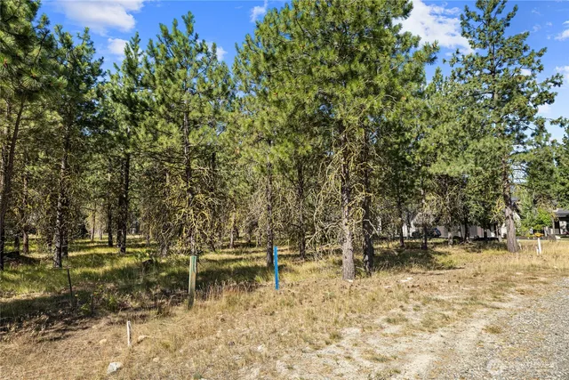 a view of a yard with a trees