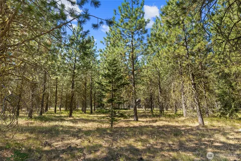 a view of yard with trees