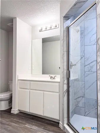 a bathroom with a shower a sink and a toilet