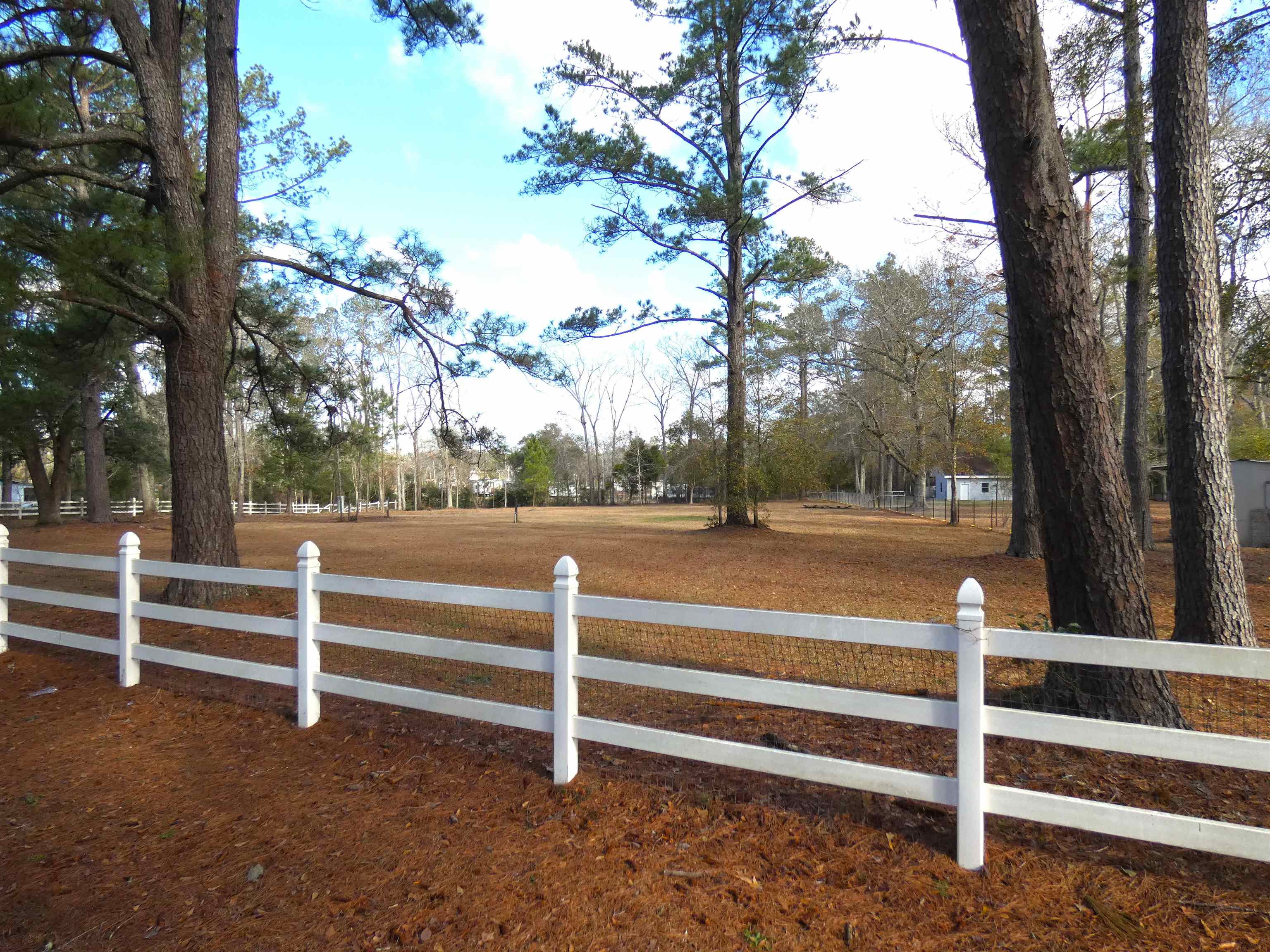 Tbd Pineview Road Monticello, FL 32344 - Photo 2 of 3