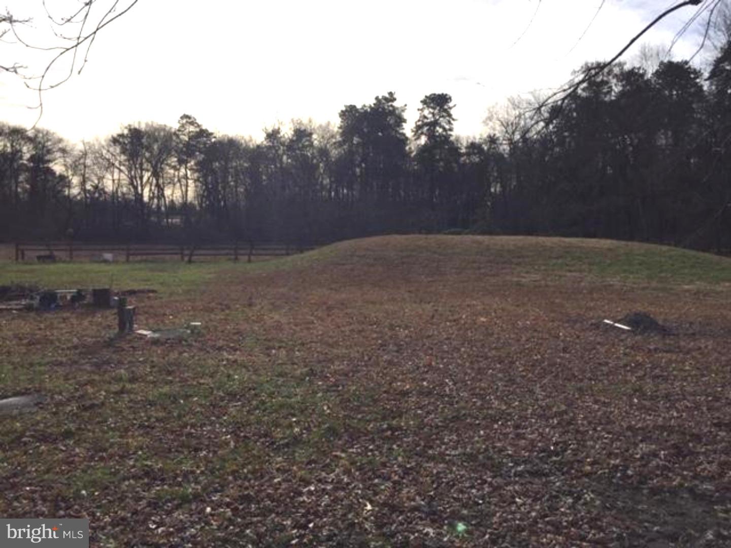 3 Simontown Road Pemberton, NJ 08068 - Photo 10 of 10 Back Yard