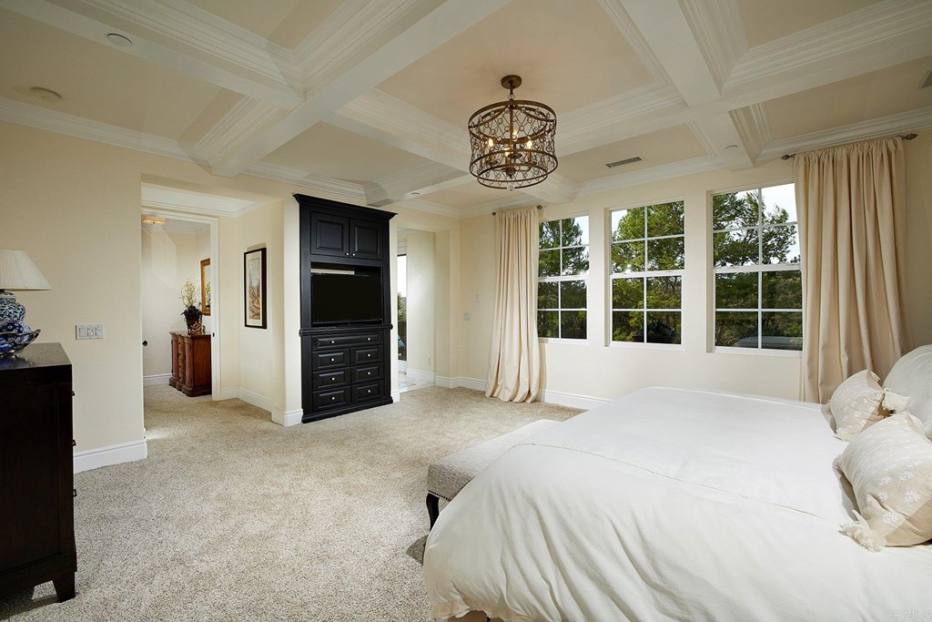 6587 Halite Place Carlsbad, CA 92009 - Photo 25 of 53