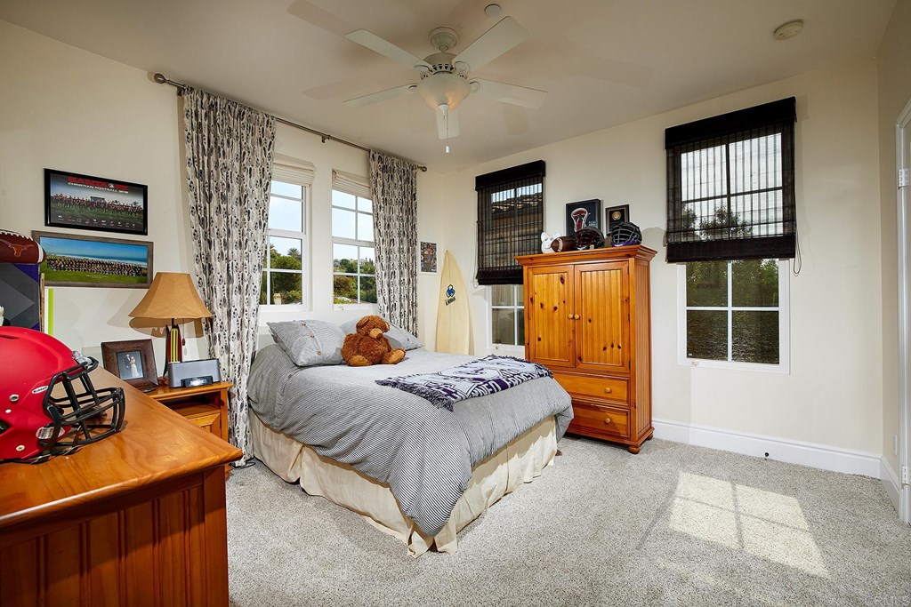 6587 Halite Place Carlsbad, CA 92009 - Photo 29 of 53