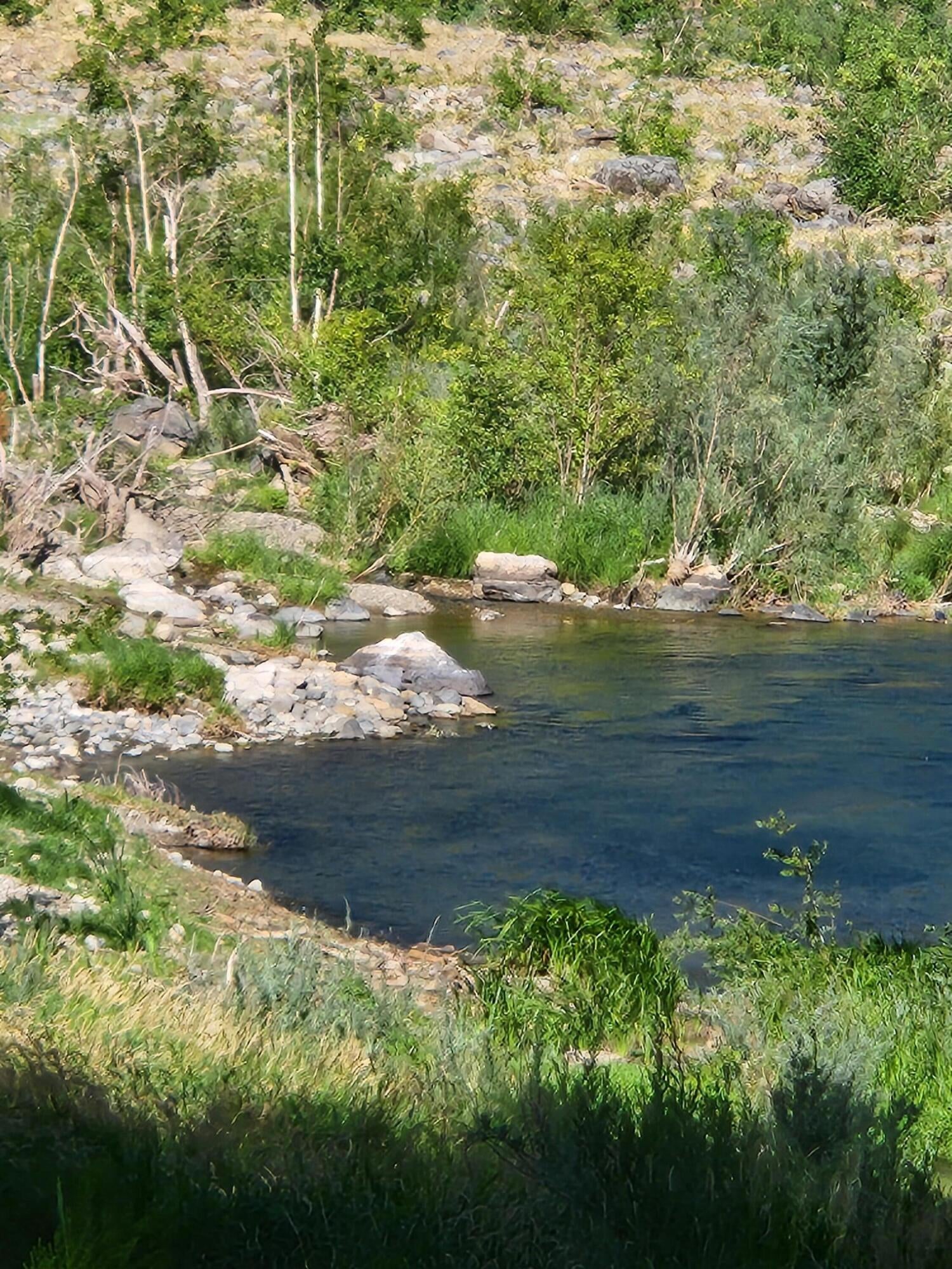 12218 Galice Road Merlin, OR 97532 - Photo 4 of 38 Galice Swimming Hole