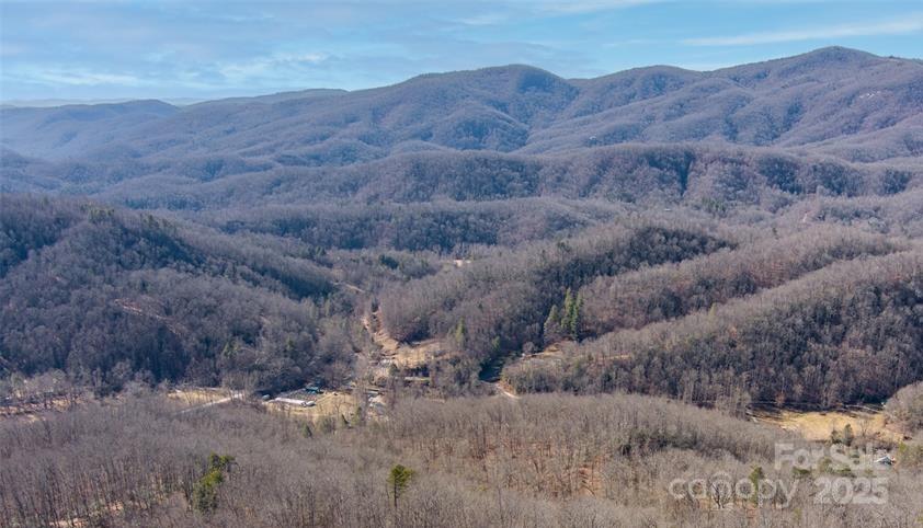35 Lower Sand Branch Road Black Mountain, NC 28711 - Photo 1 of 30