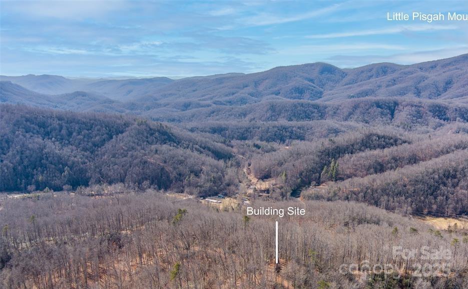 35 Lower Sand Branch Road Black Mountain, NC 28711 - Photo 12 of 30