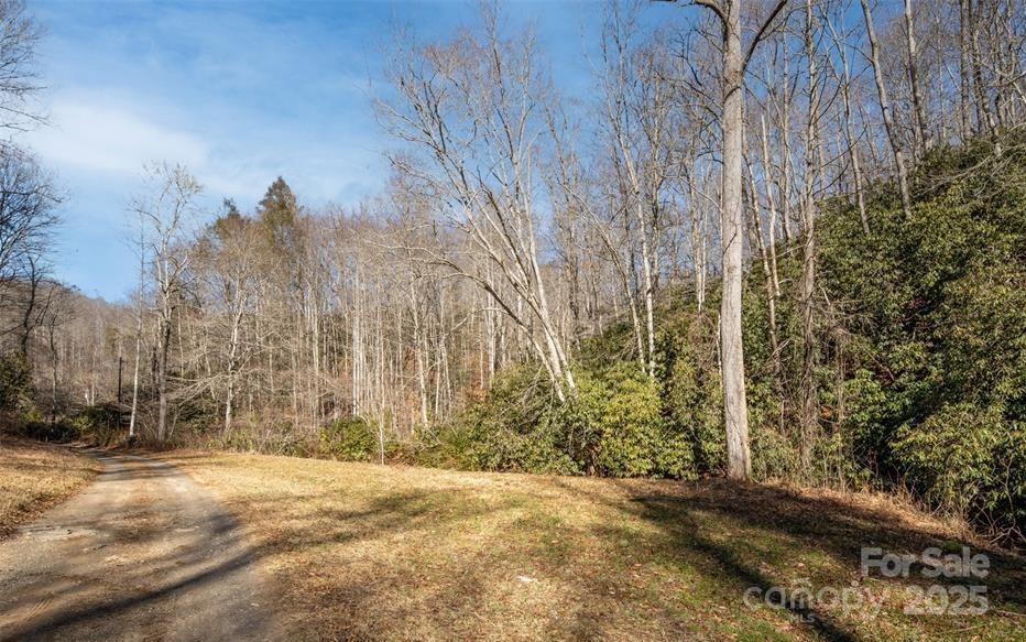 35 Lower Sand Branch Road Black Mountain, NC 28711 - Photo 16 of 30