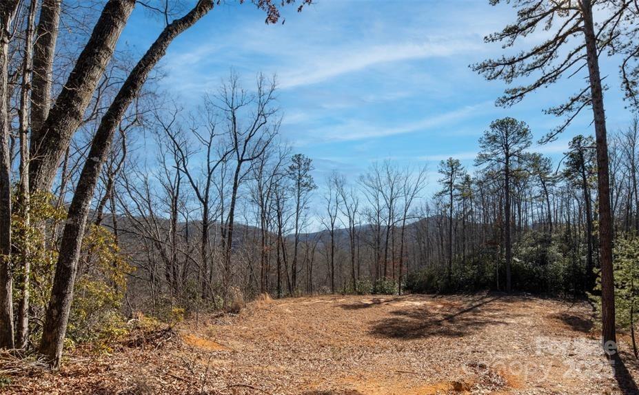 35 Lower Sand Branch Road Black Mountain, NC 28711 - Photo 17 of 30