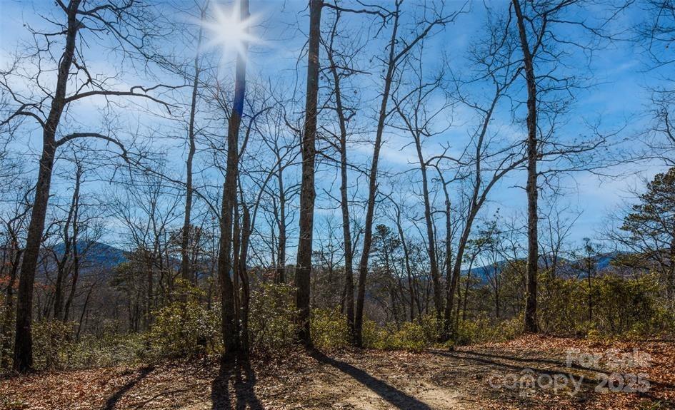 35 Lower Sand Branch Road Black Mountain, NC 28711 - Photo 18 of 30