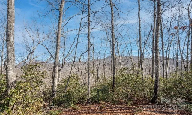 $1,900,000 | 35 Lower Sand Branch Road, Black Mountain, NC 28711