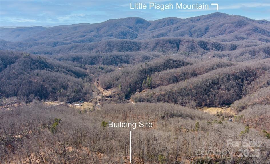 35 Lower Sand Branch Road Black Mountain, NC 28711 - Photo 2 of 30