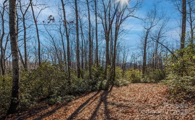 $1,900,000 | 35 Lower Sand Branch Road, Black Mountain, NC 28711