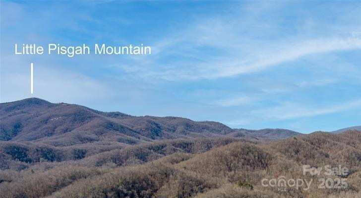 35 Lower Sand Branch Road Black Mountain, NC 28711 - Photo 24 of 30