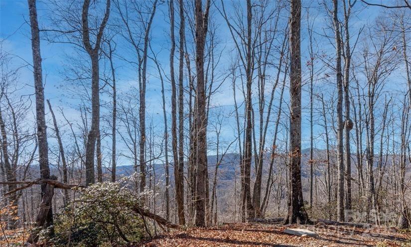 35 Lower Sand Branch Road Black Mountain, NC 28711 - Photo 26 of 30