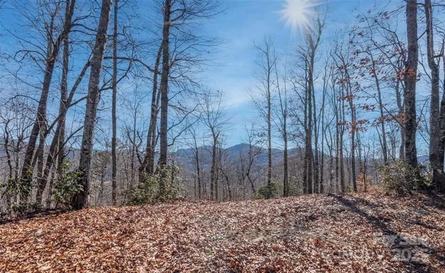 $1,900,000 | 35 Lower Sand Branch Road, Black Mountain, NC 28711
