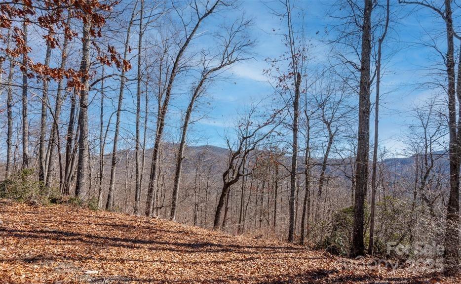 35 Lower Sand Branch Road Black Mountain, NC 28711 - Photo 28 of 30