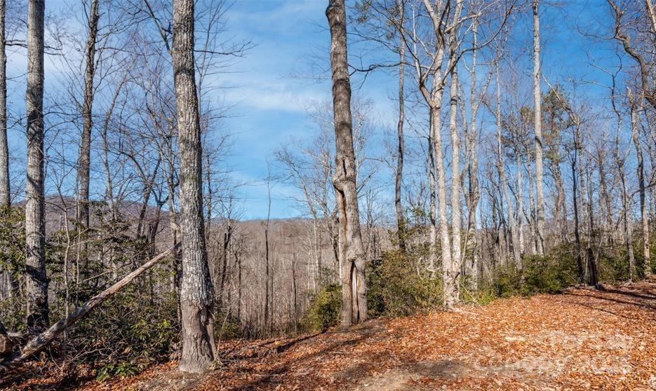 35 Lower Sand Branch Road Black Mountain, NC 28711 - Photo 3 of 30