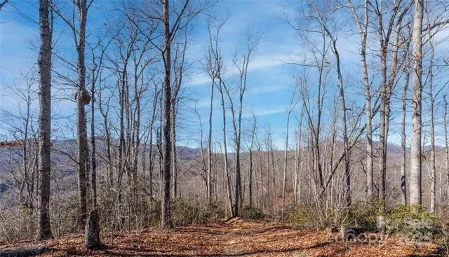 $1,900,000 | 35 Lower Sand Branch Road, Black Mountain, NC 28711
