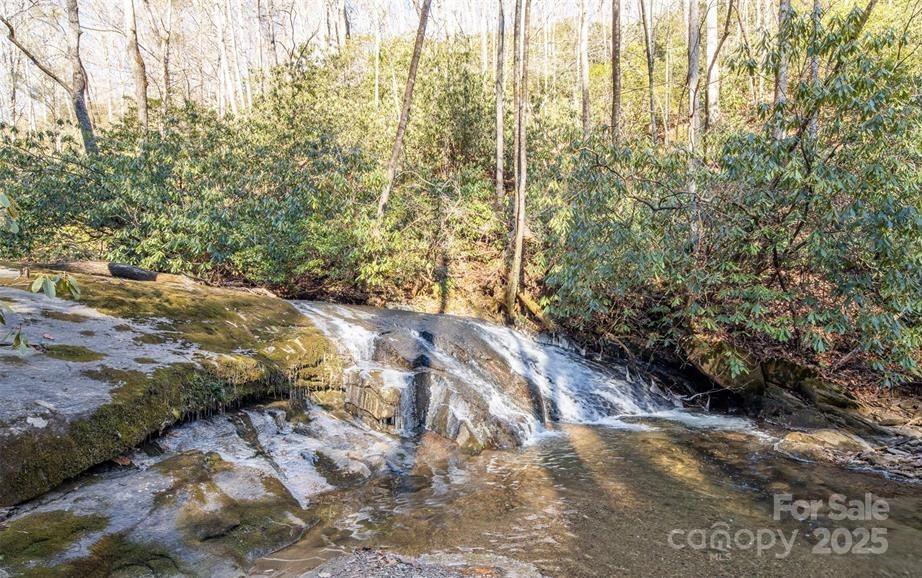 35 Lower Sand Branch Road Black Mountain, NC 28711 - Photo 5 of 30
