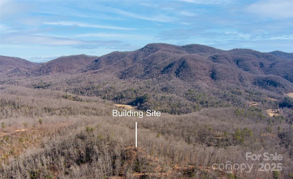 35 Lower Sand Branch Road Black Mountain, NC 28711 - Photo 8 of 30