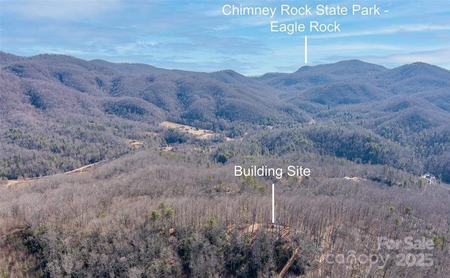 35 Lower Sand Branch Road Black Mountain, NC 28711 - Photo 9 of 30