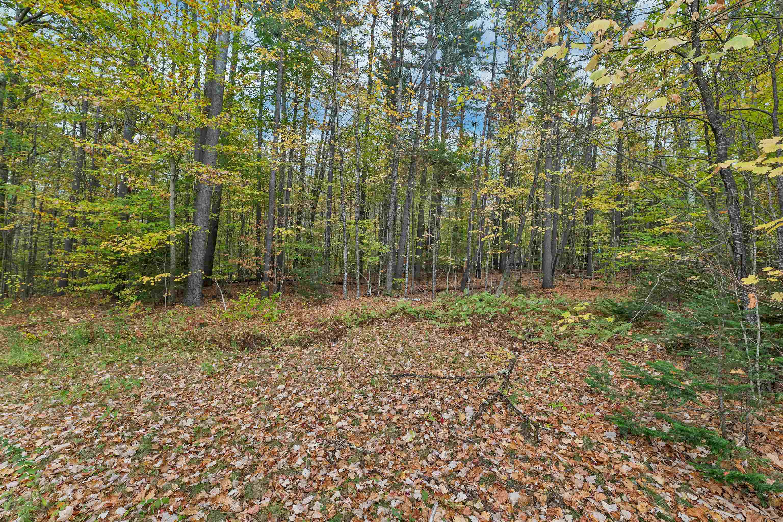 88 Donovan Farm Road Campton, NH 03223 - Photo 37 of 60