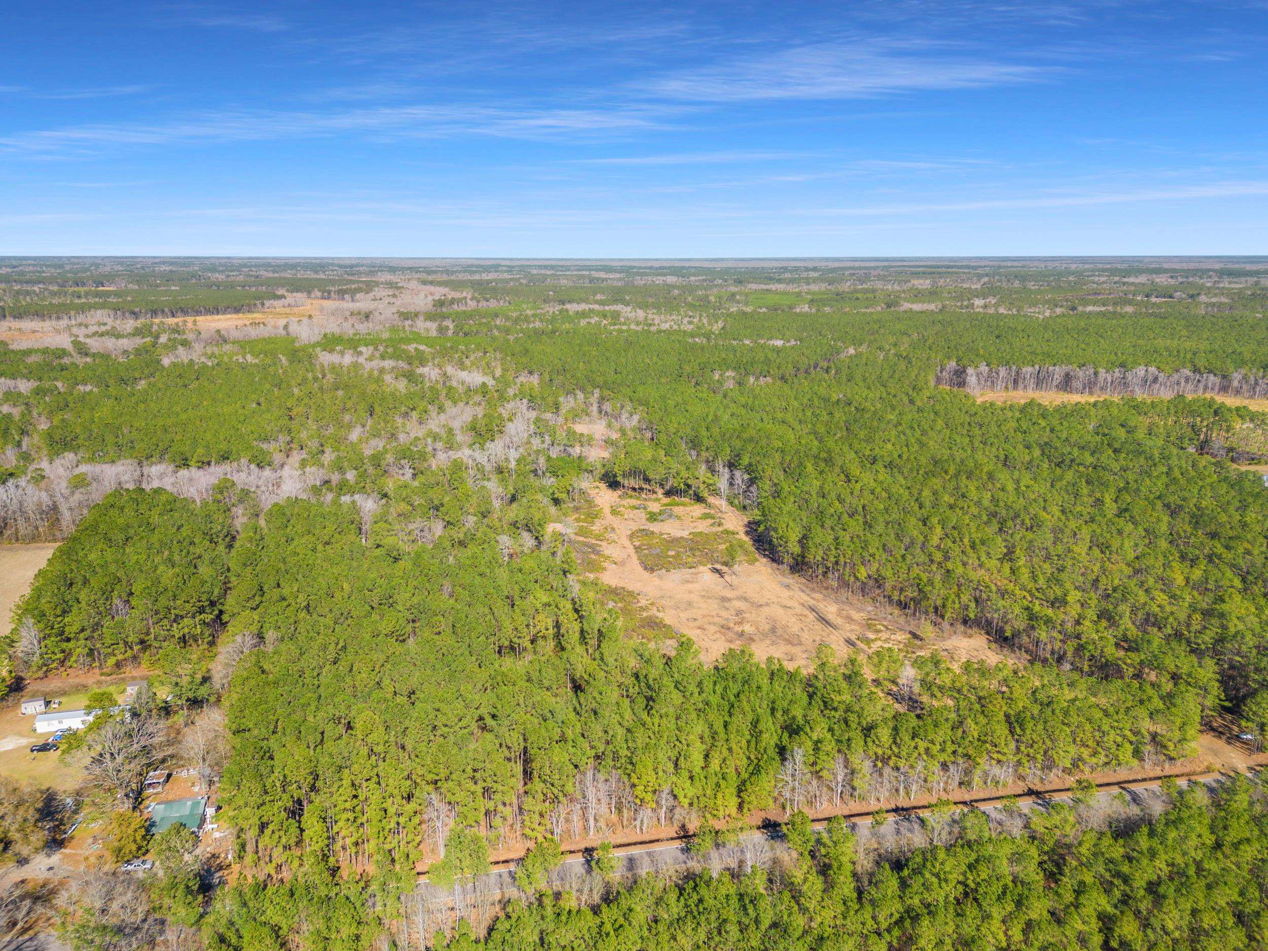 Tbd Williams Hill Road Hemingway, SC 29554 - Photo 17 of 27 Gallery Image 17