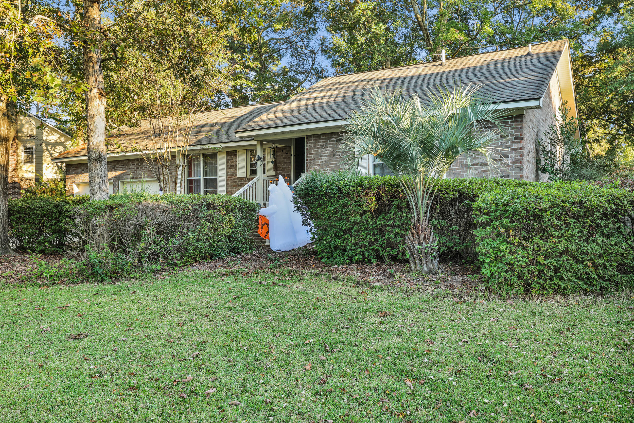 122 Southwold Circle Goose Creek, SC 29445 - Photo 43 of 62 10_550a4110