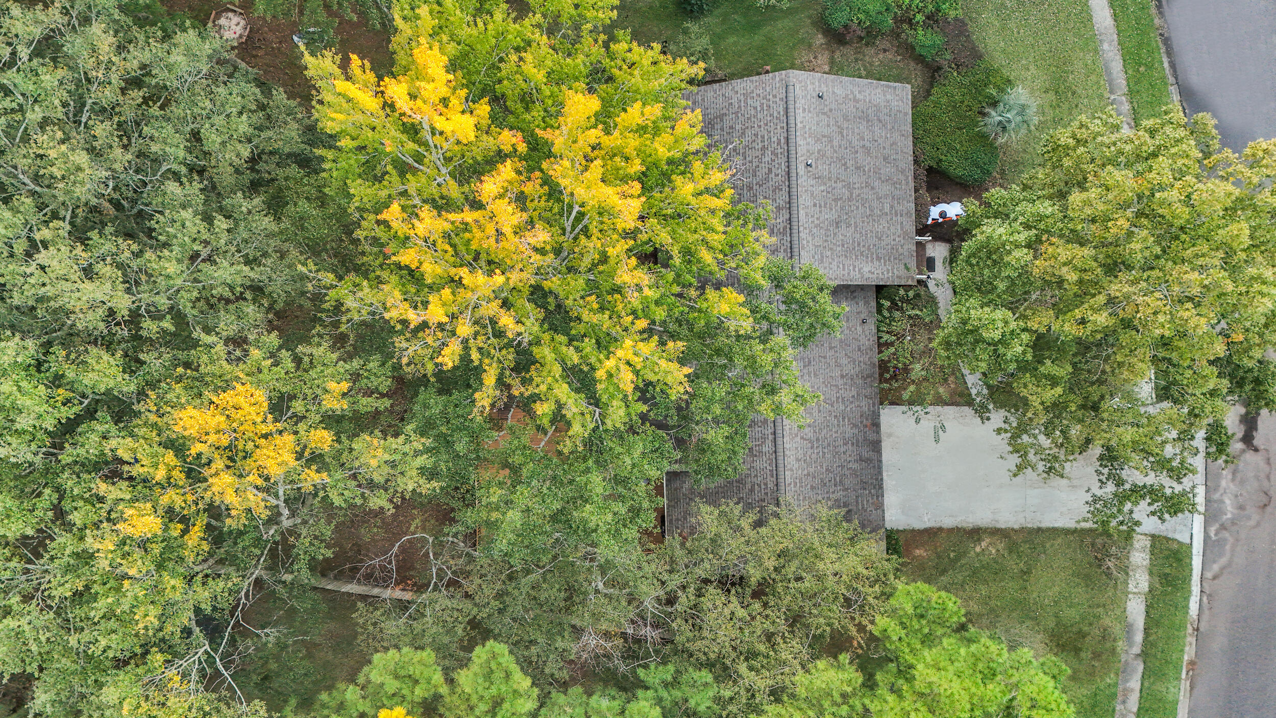 122 Southwold Circle Goose Creek, SC 29445 - Photo 55 of 62 84_dji_20251031152357_0022_d