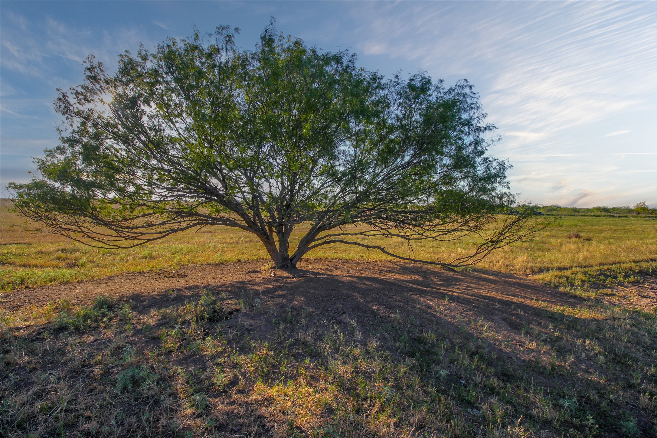 0 Cunningham Road Nocona, TX 76255 - Photo 3 of 18