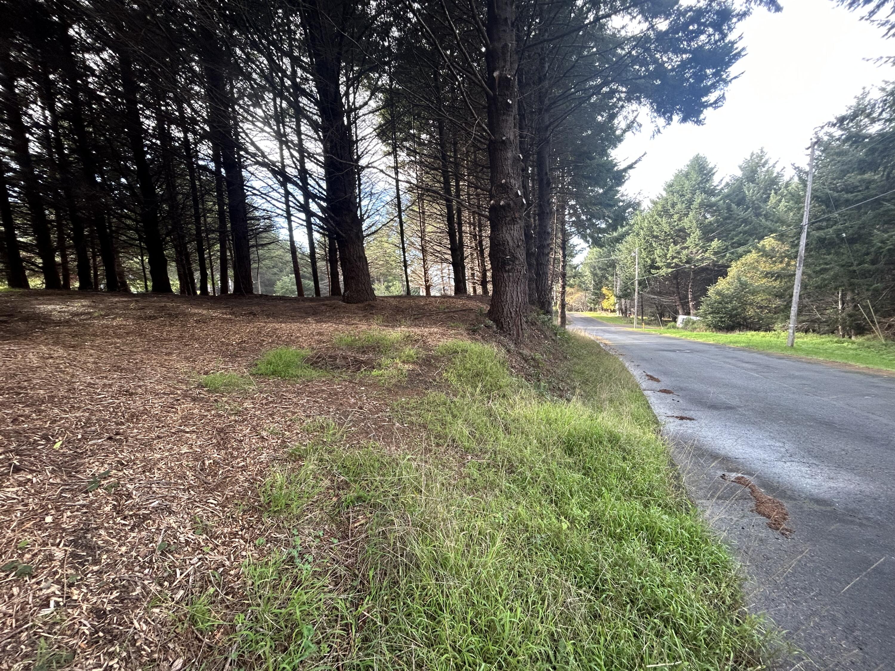 384 Ridge Road Shelter Cove, CA 95589 - Photo 8 of 10