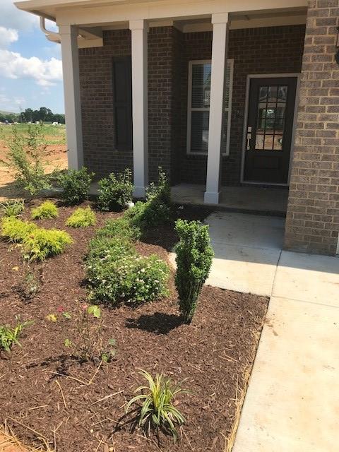 3174 Rift Lane Murfreesboro, TN 37130 - Photo 25 of 27 Gallery Image 25
