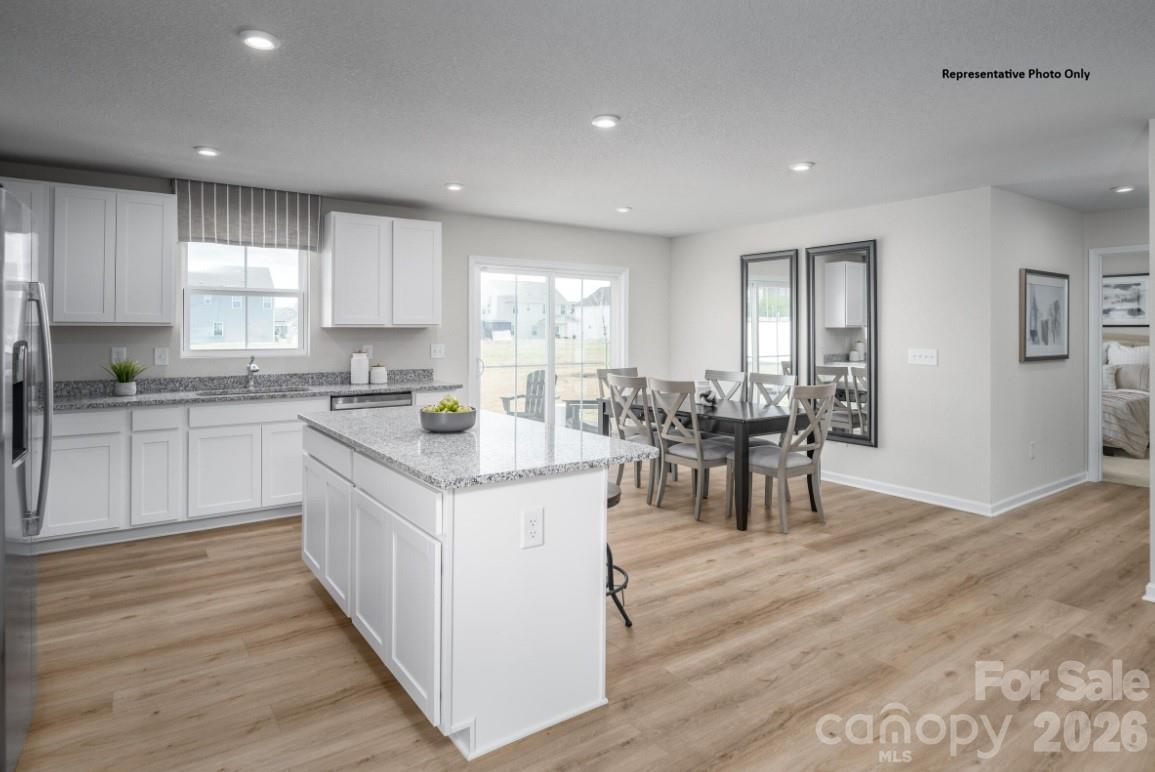 212 Maggys Way Pageland, SC 29728 - Photo 4 of 13