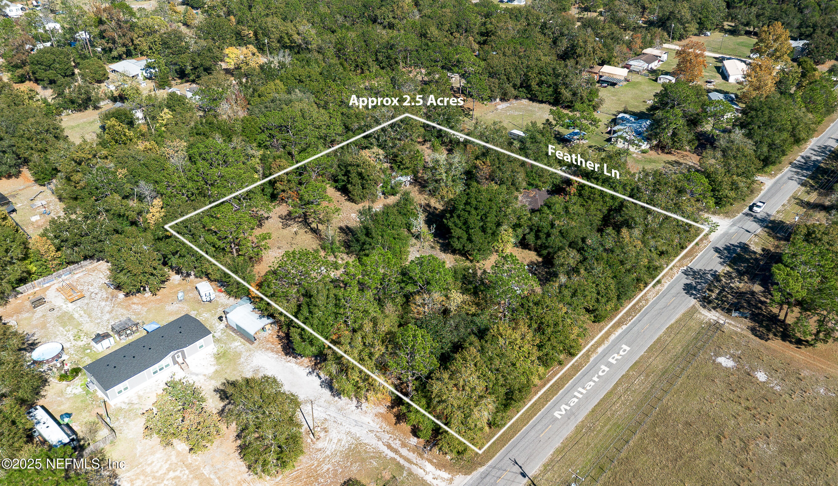 2130 Mallard Road Middleburg, FL 32068 - Photo 14 of 21 a view of a garden