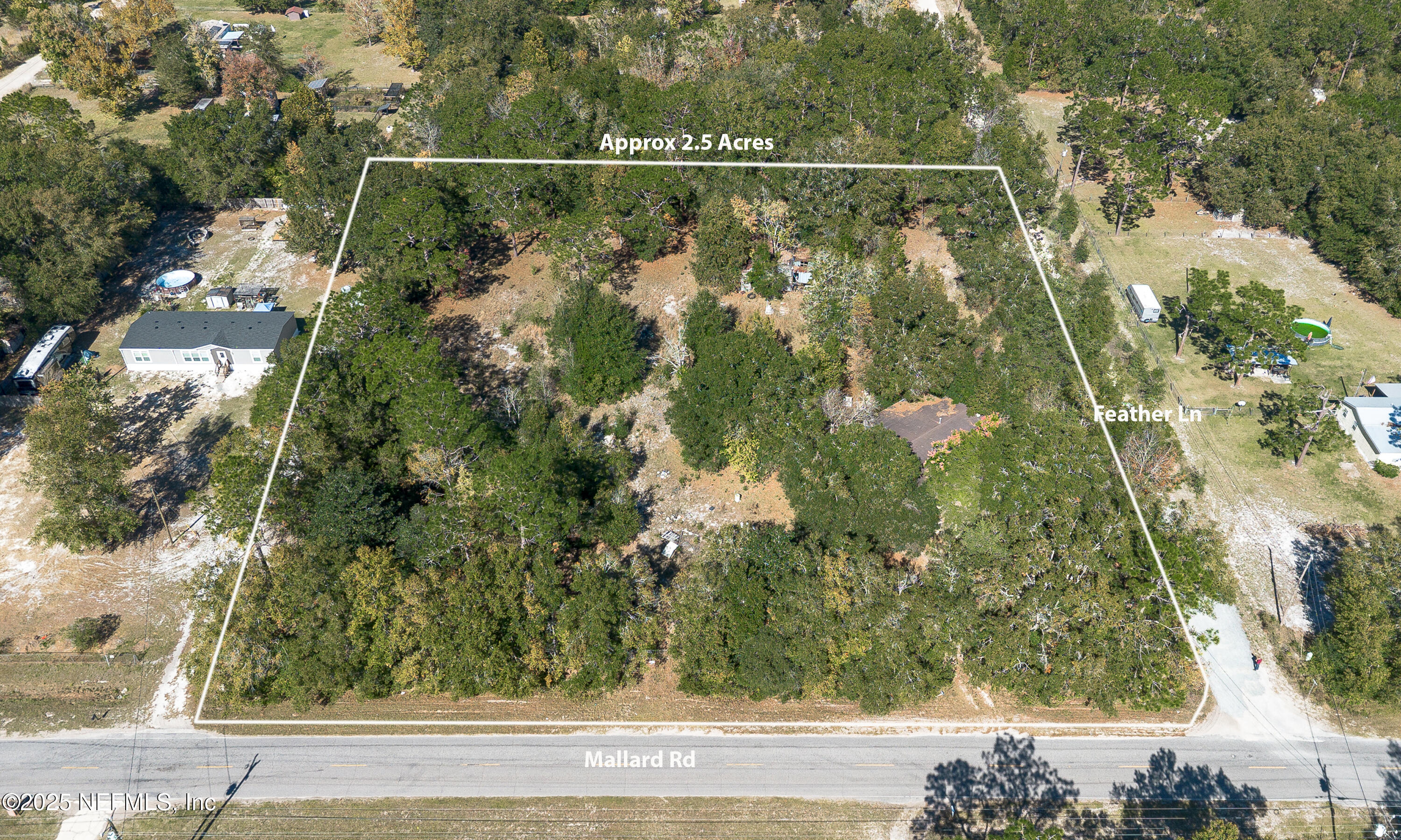 2130 Mallard Road Middleburg, FL 32068 - Photo 15 of 21 a view of a forest