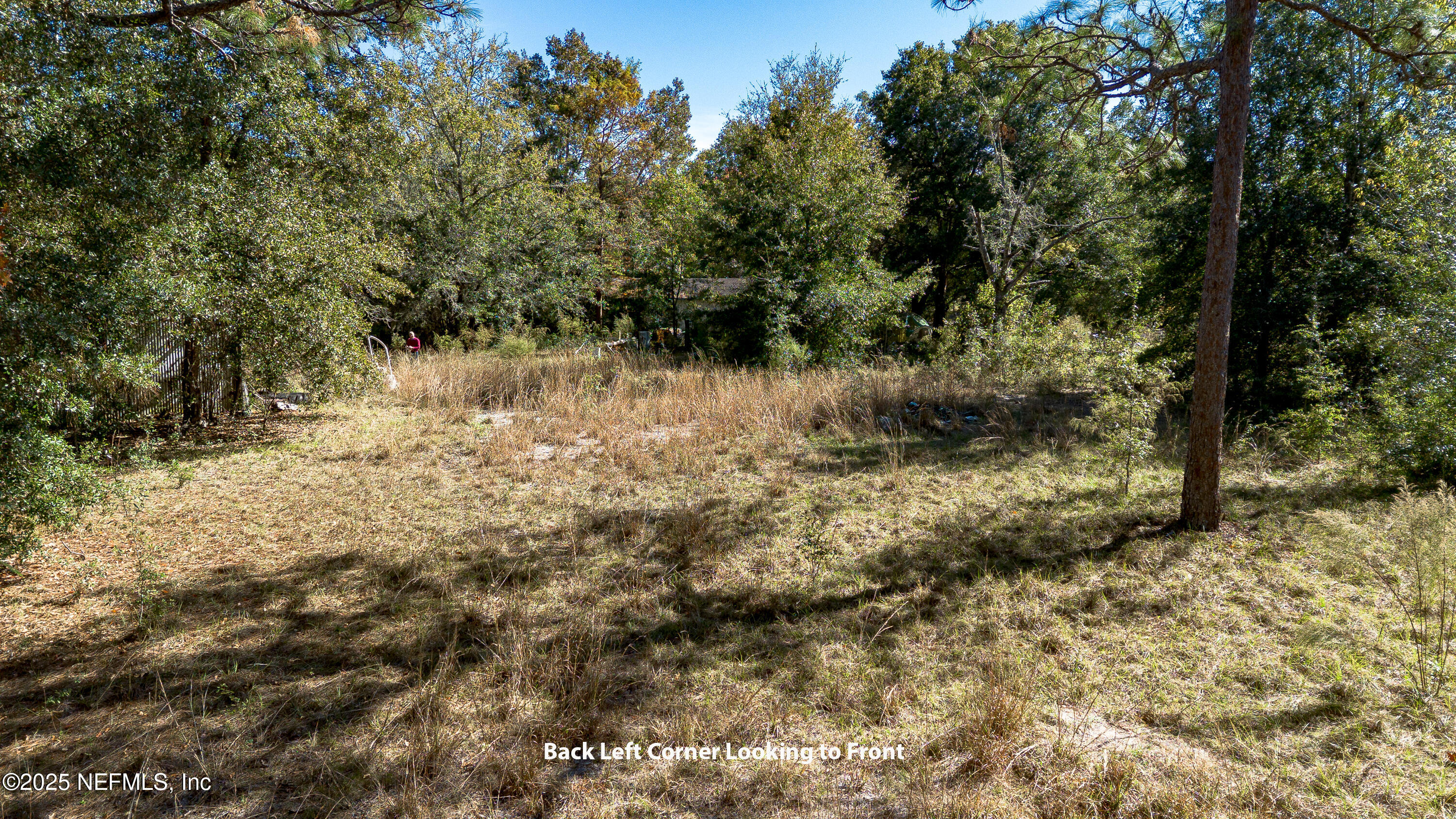 2130 Mallard Road Middleburg, FL 32068 - Photo 2 of 21 a view of a lake with lots of trees
