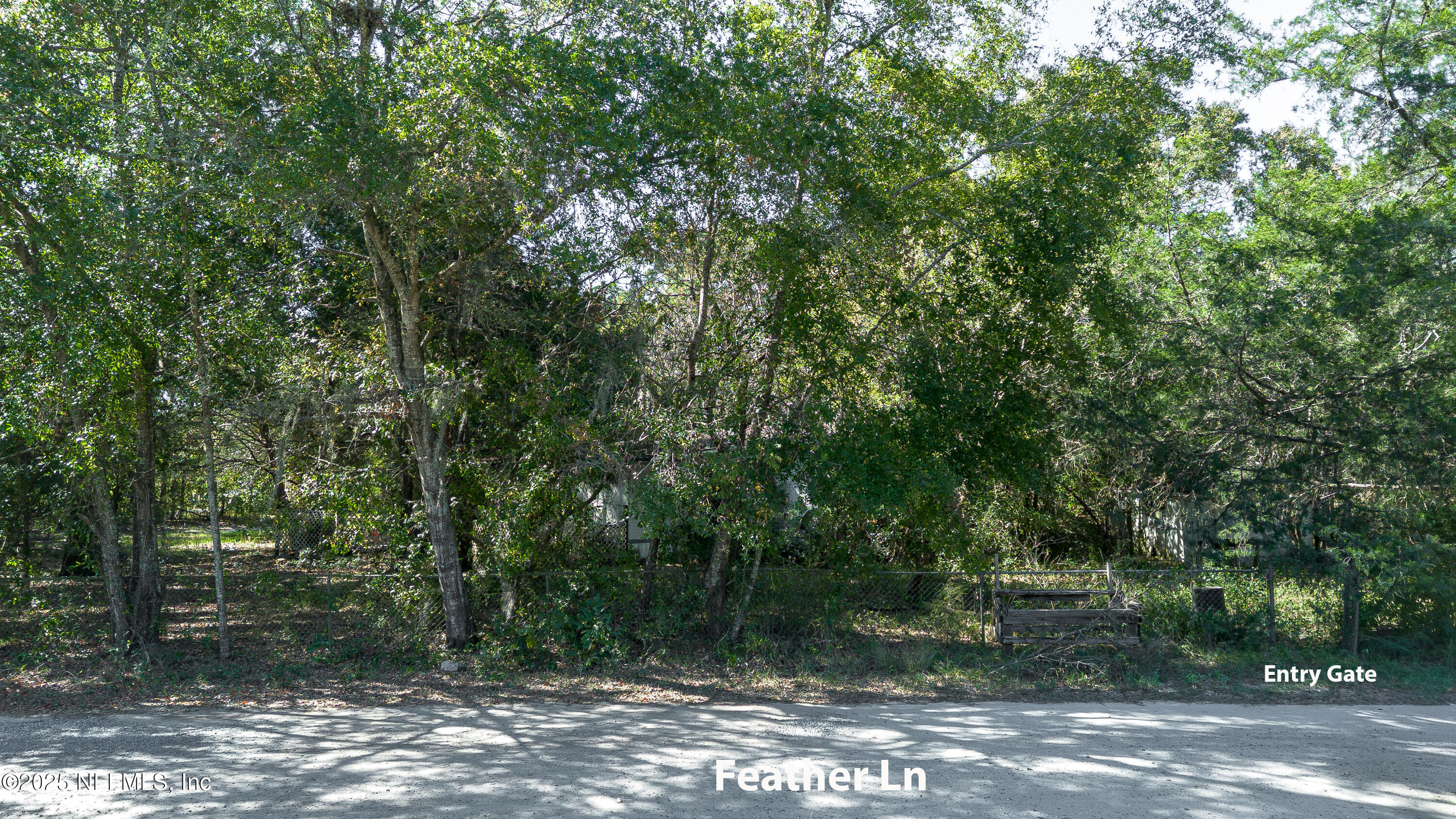 2130 Mallard Road Middleburg, FL 32068 - Photo 4 of 21 a view of a forest with trees in the background
