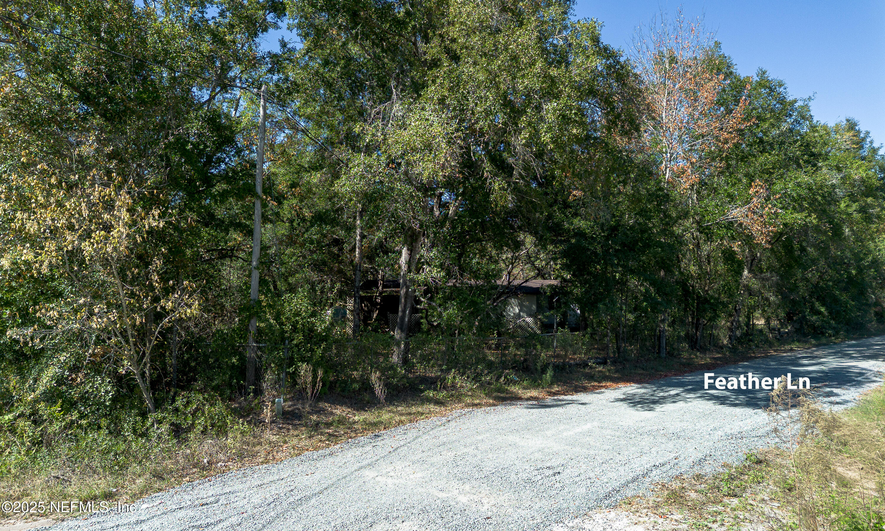 2130 Mallard Road Middleburg, FL 32068 - Photo 5 of 21 a view of a yard with plants and trees