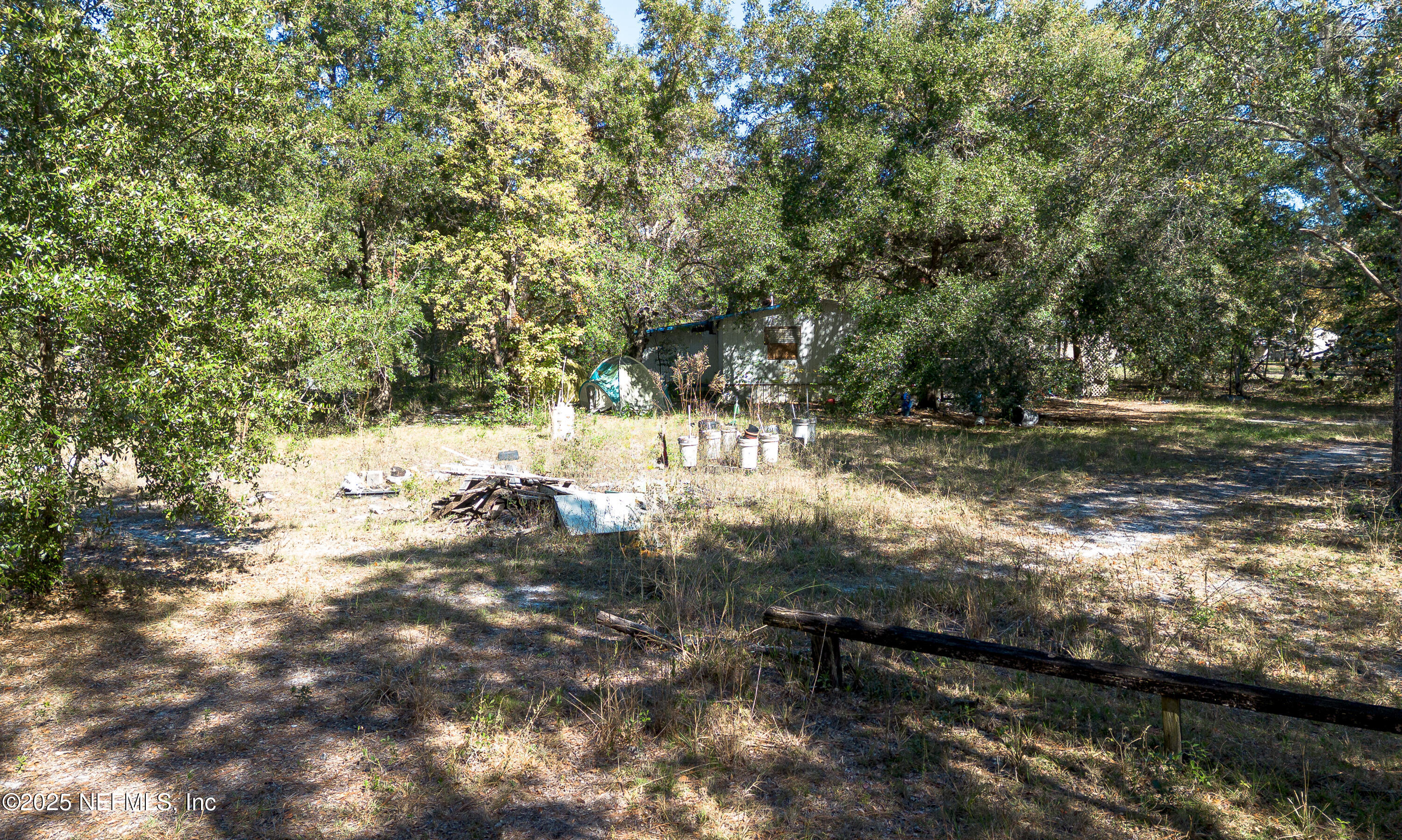 2130 Mallard Road Middleburg, FL 32068 - Photo 6 of 21 a view of yard covered with green space
