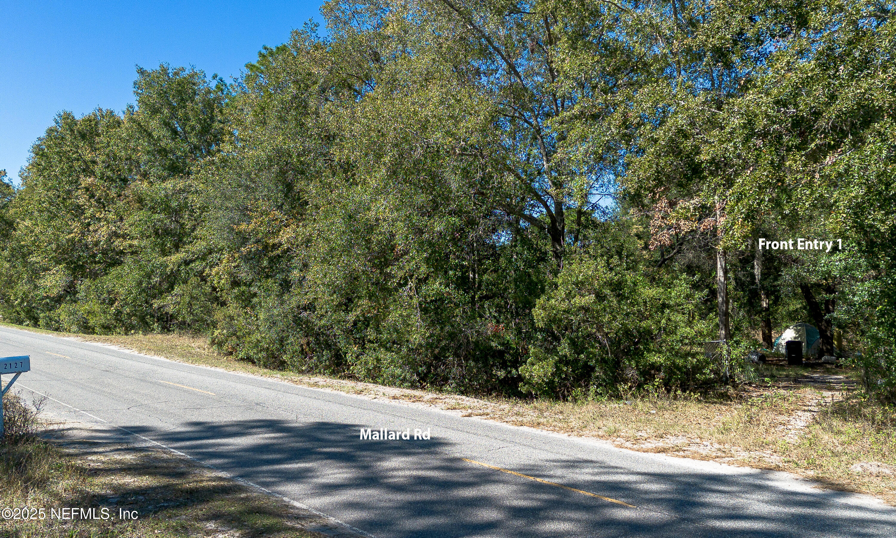 2130 Mallard Road Middleburg, FL 32068 - Photo 8 of 21 a view of a yard with a tree