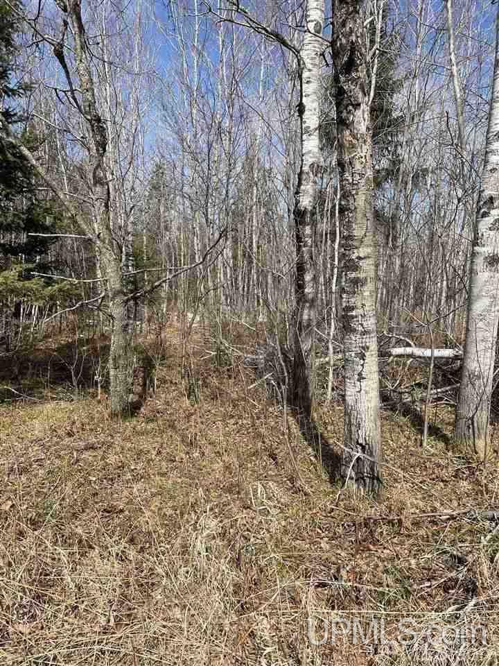 Tbd Tbd Co Road, Unit 1 Marquette, MI 49855 - Photo 44 of 50
