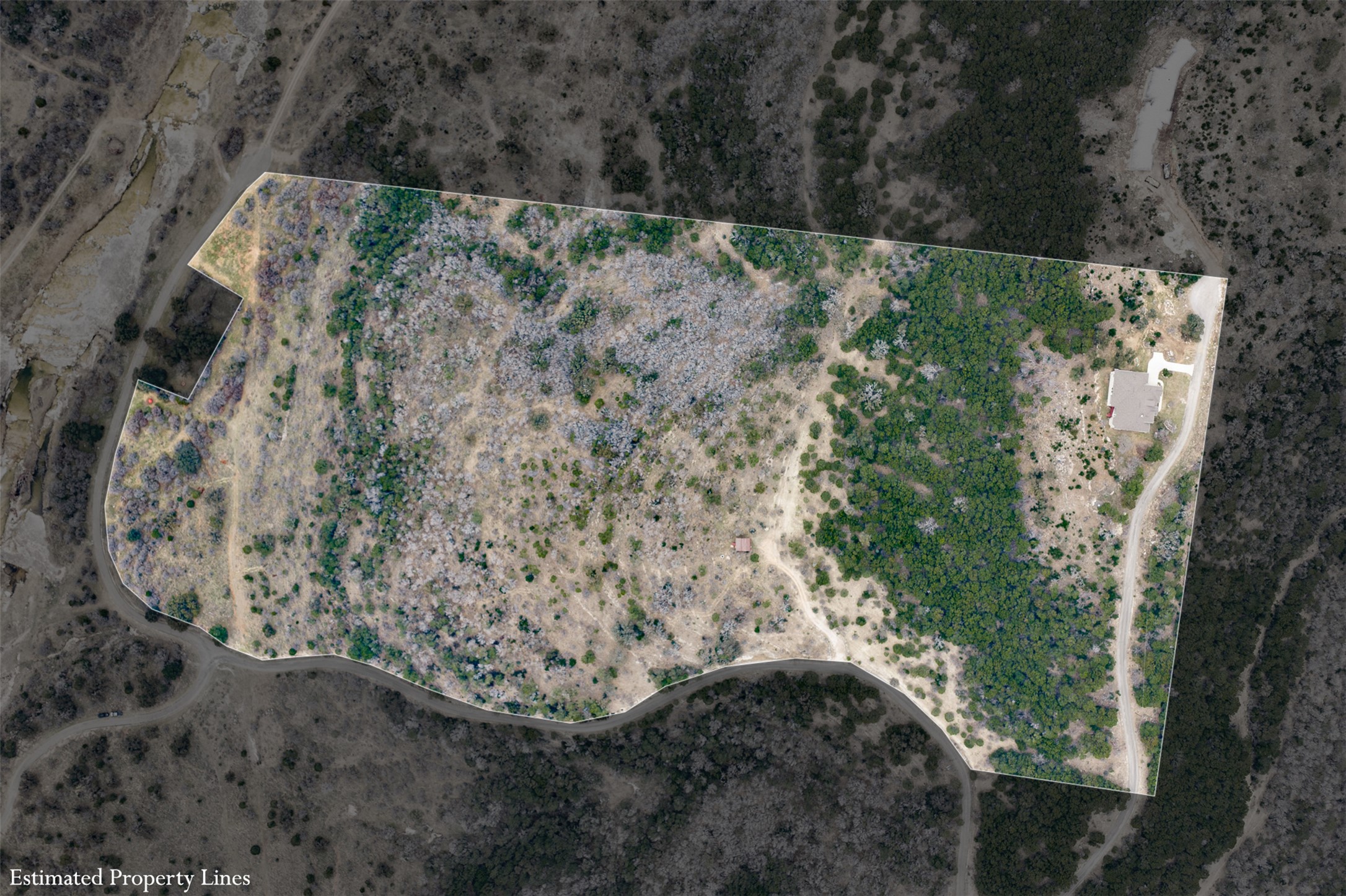 235 Chestnut Crossing Burnet, TX 78611 - Photo 39 of 39 a view of a yard with large trees