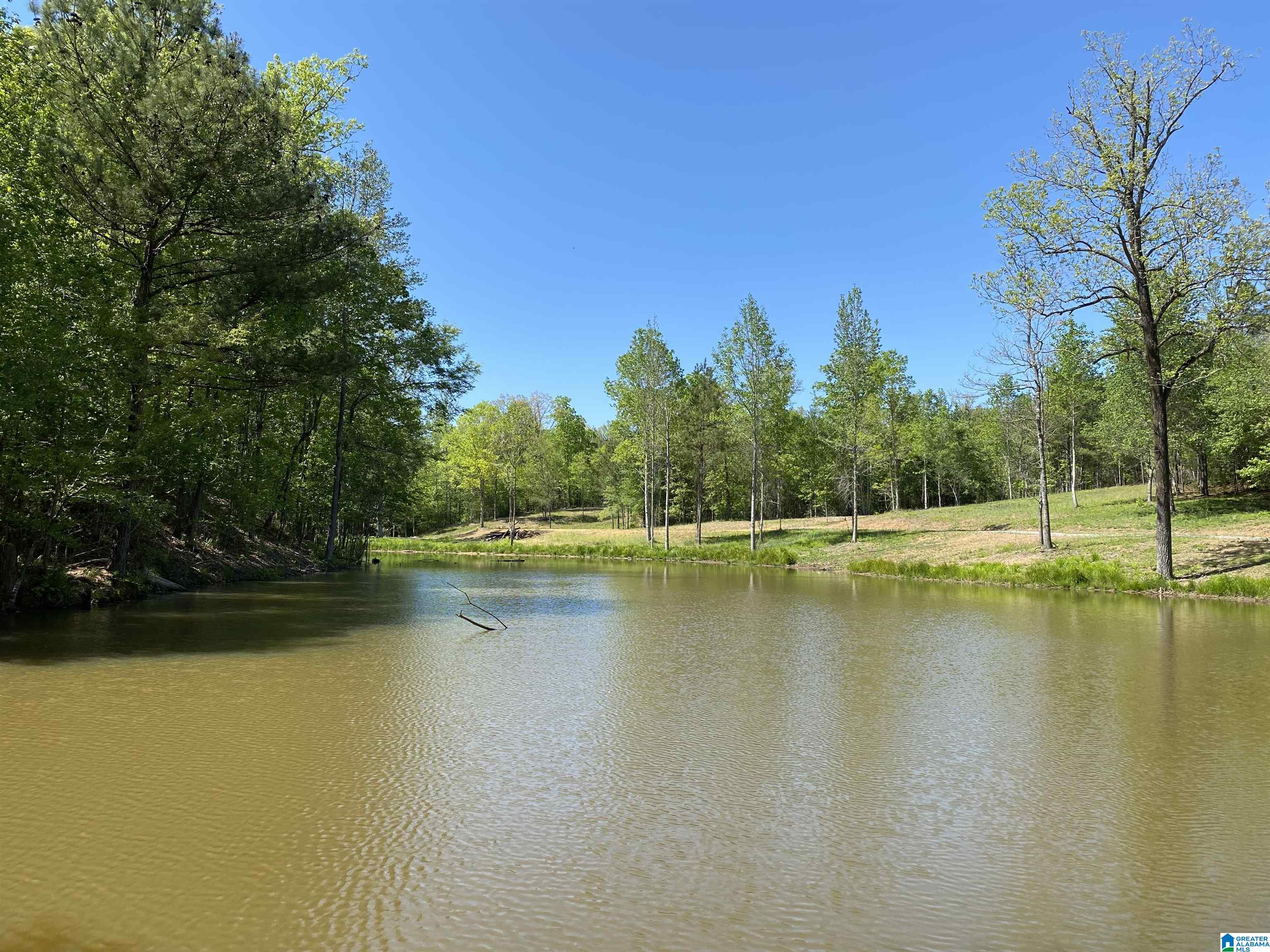 8346 Serene Lake Road McCalla, AL 35111 - Photo 9 of 24