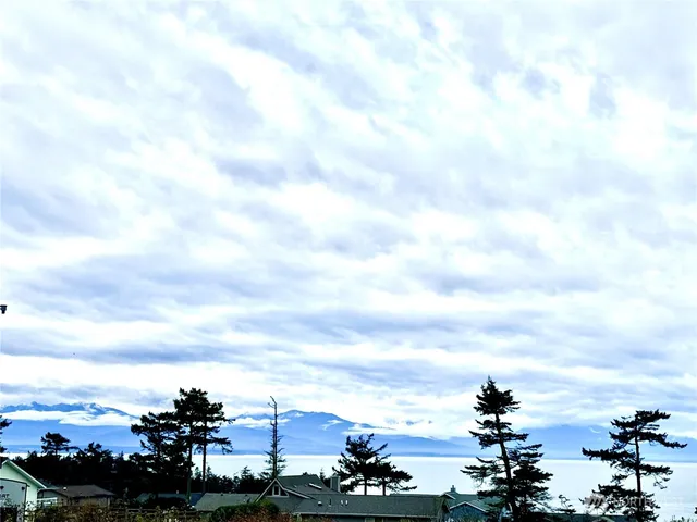 a view of city and ocean