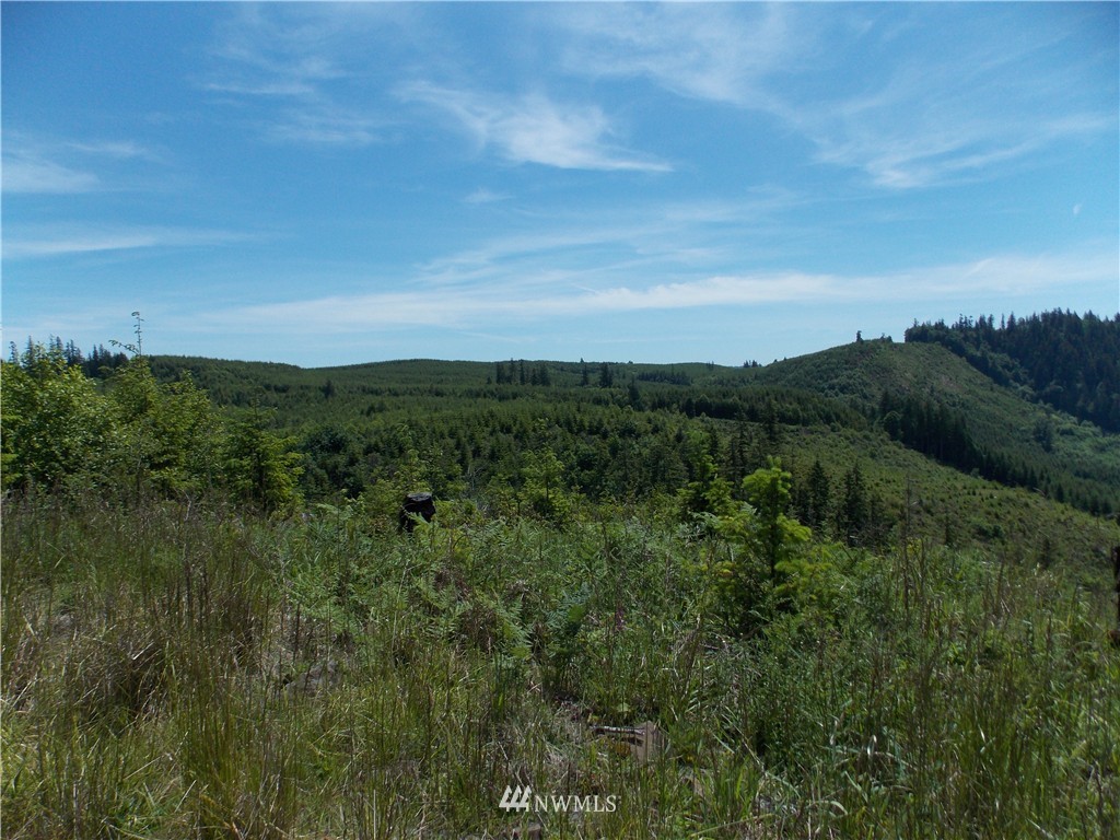 -lot P Lot P Ridgewood Castle Rock, WA 98611 - Photo 5 of 9