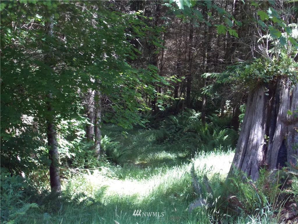 -lot P Lot P Ridgewood Castle Rock, WA 98611 - Photo 8 of 9