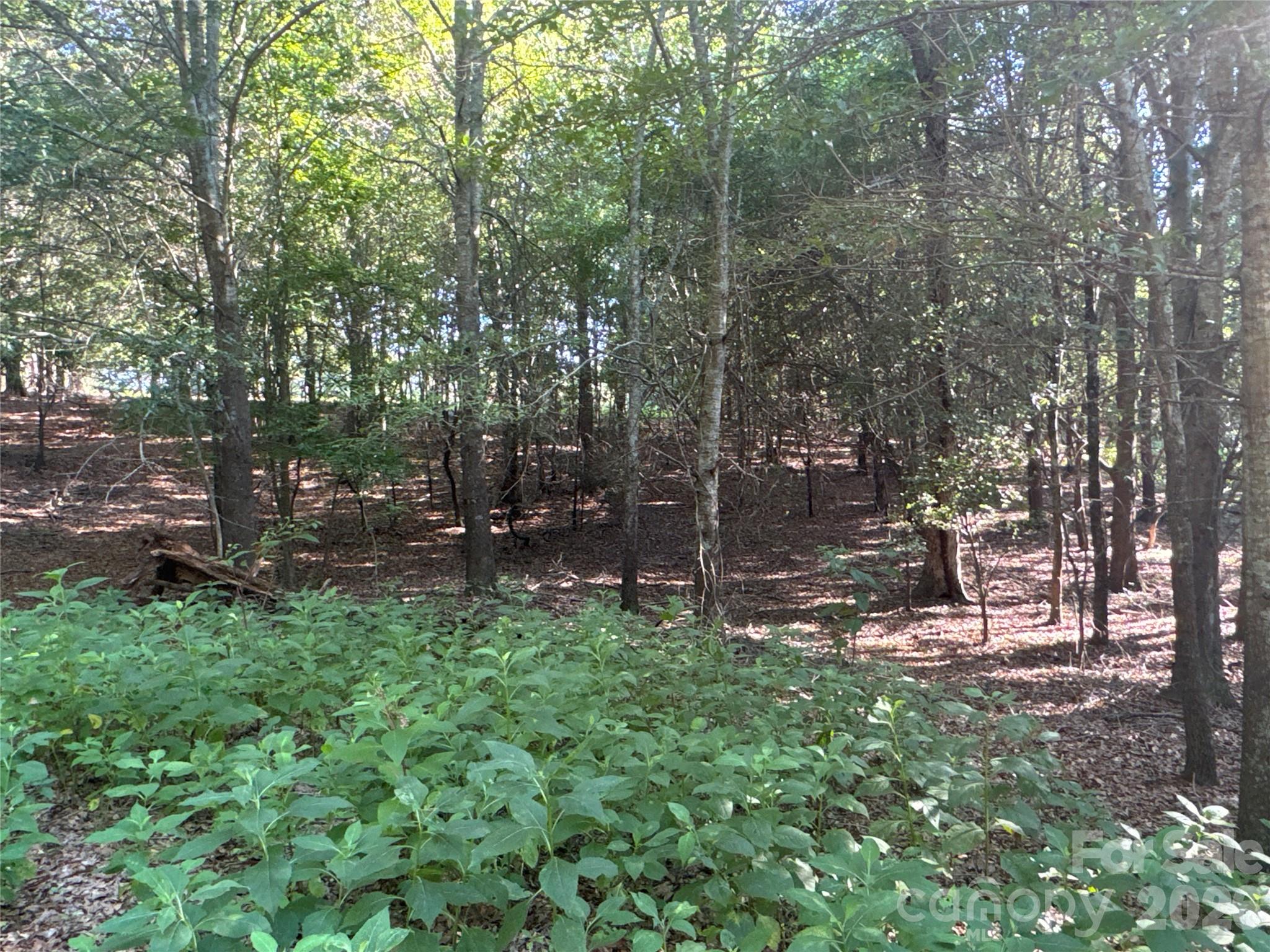 328 Sandy Run Church Road Mooresboro, NC 28114 - Photo 40 of 48