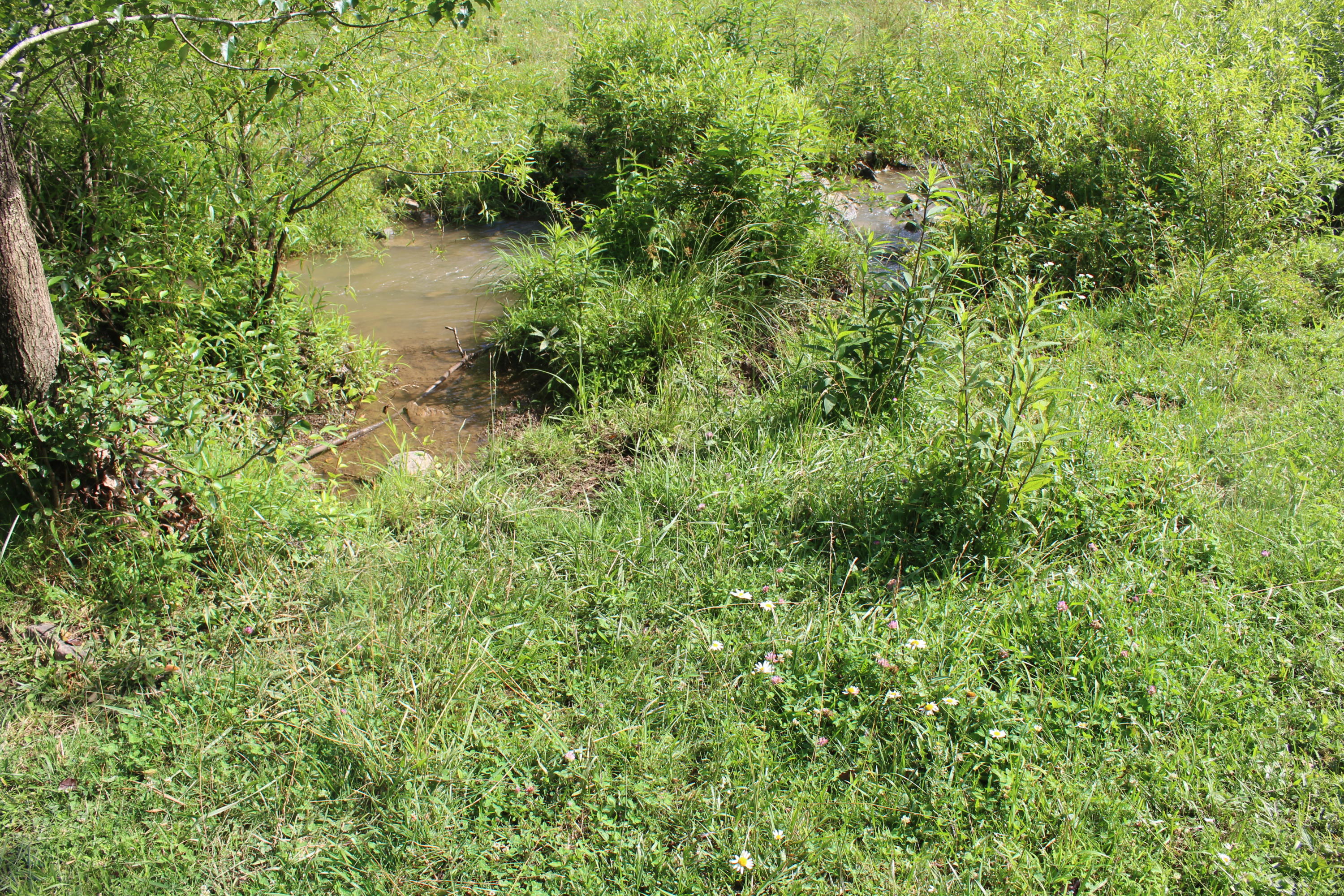 Bradshaw Run Road Forest Hill, WV 24935 - Photo 22 of 22 Gallery Image 22