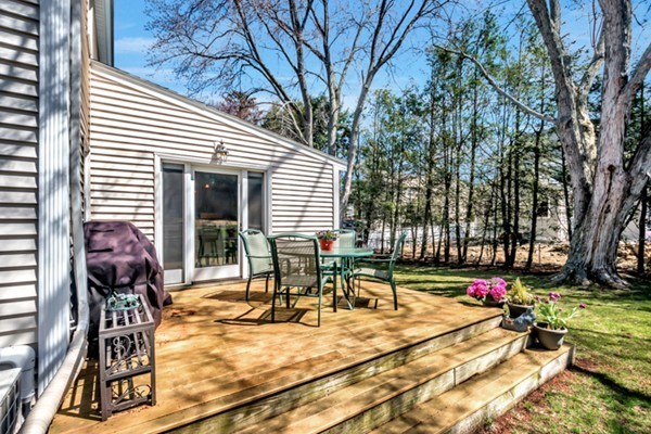 16 York Road Winchester, MA 01890 - Photo 23 of 24 Gallery Image 23